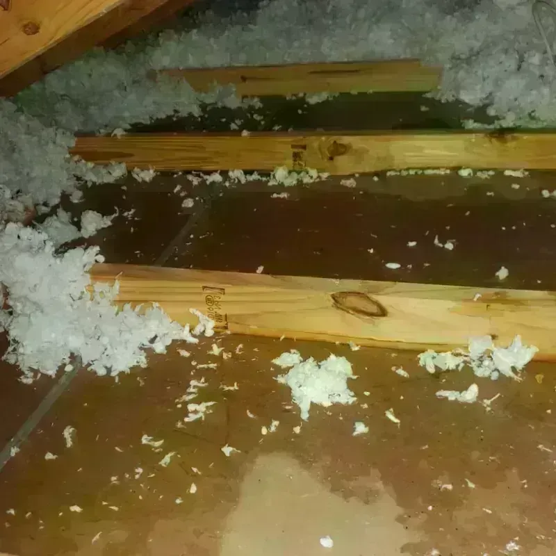 Attic Water Damage in Lake Barrington, IL