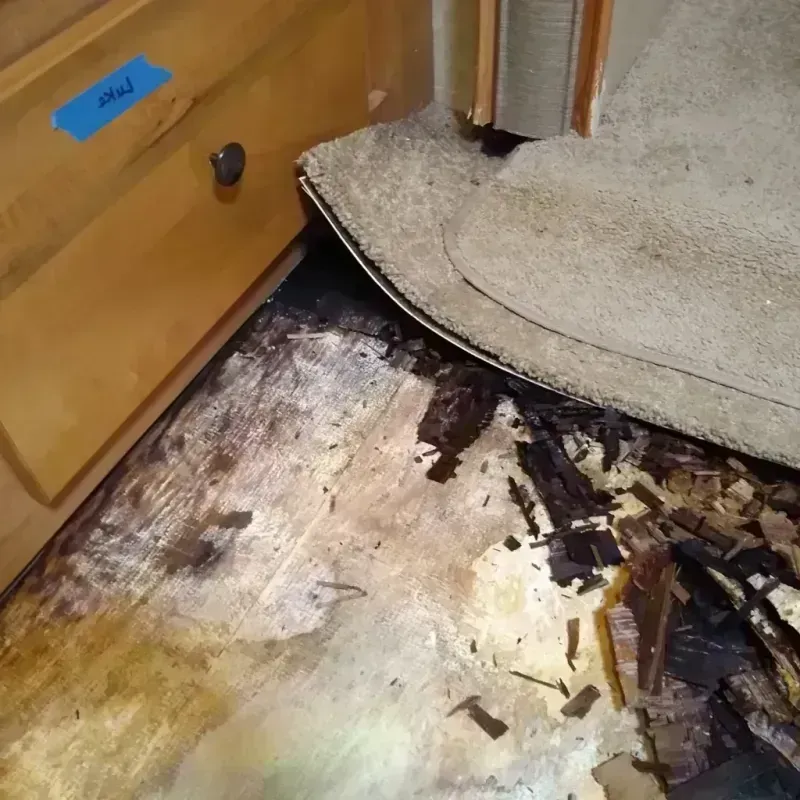 Wood Floor Water Damage in Lake Barrington, IL